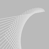 Consultant